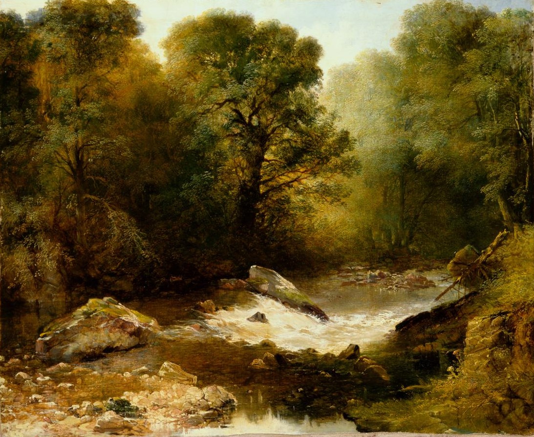 Sunlight falls across a rocky stream in dense woodland. Dark trees frame the water, and a bright opening draws the eye into the distance.